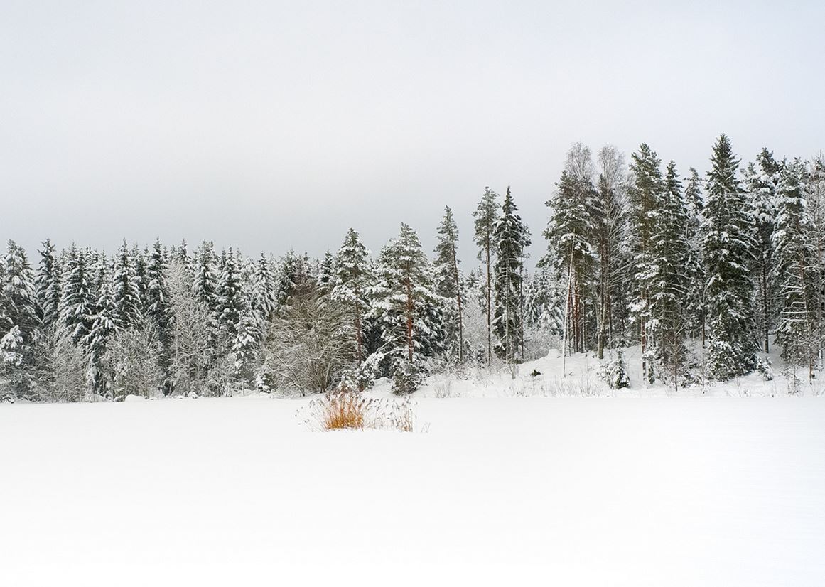 snow